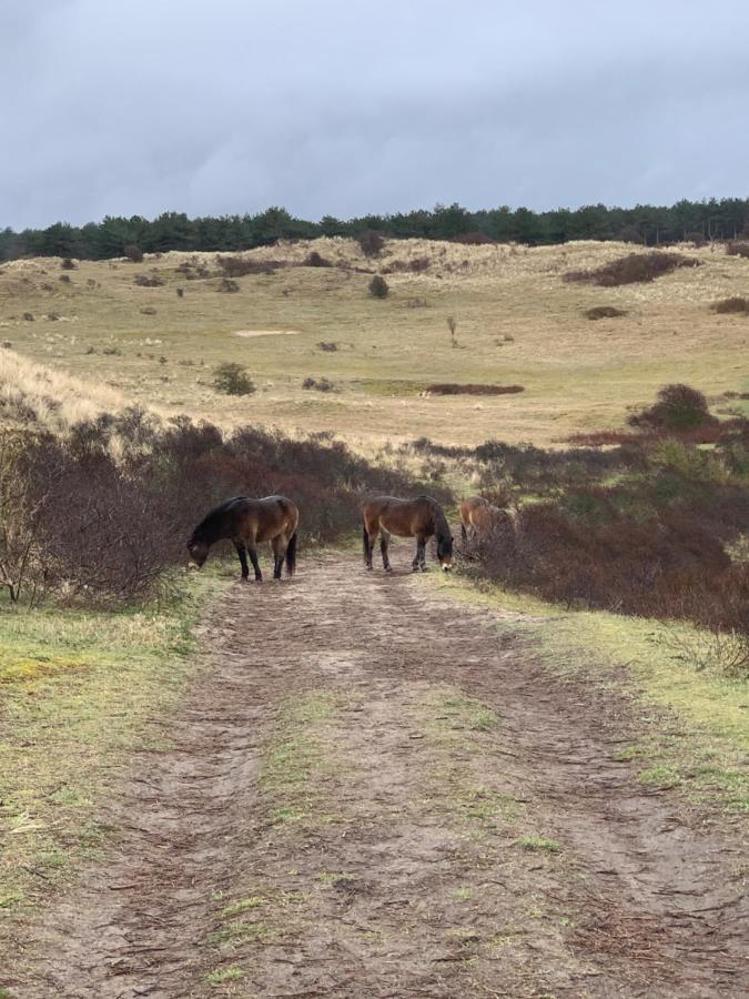 Huize Louwra Villa Egmond-Binnen Luaran gambar
