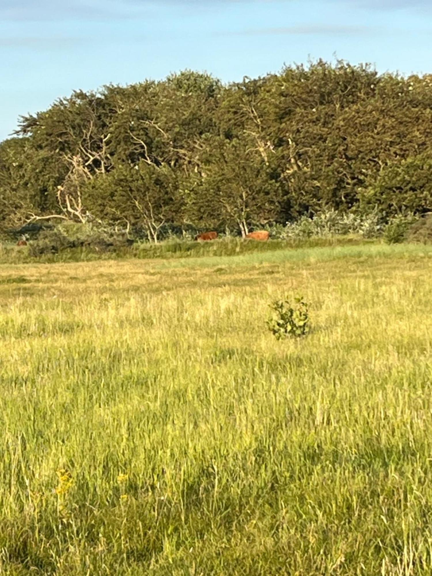 Huize Louwra Villa Egmond-Binnen Luaran gambar